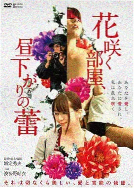 黄昏写手团小说封面